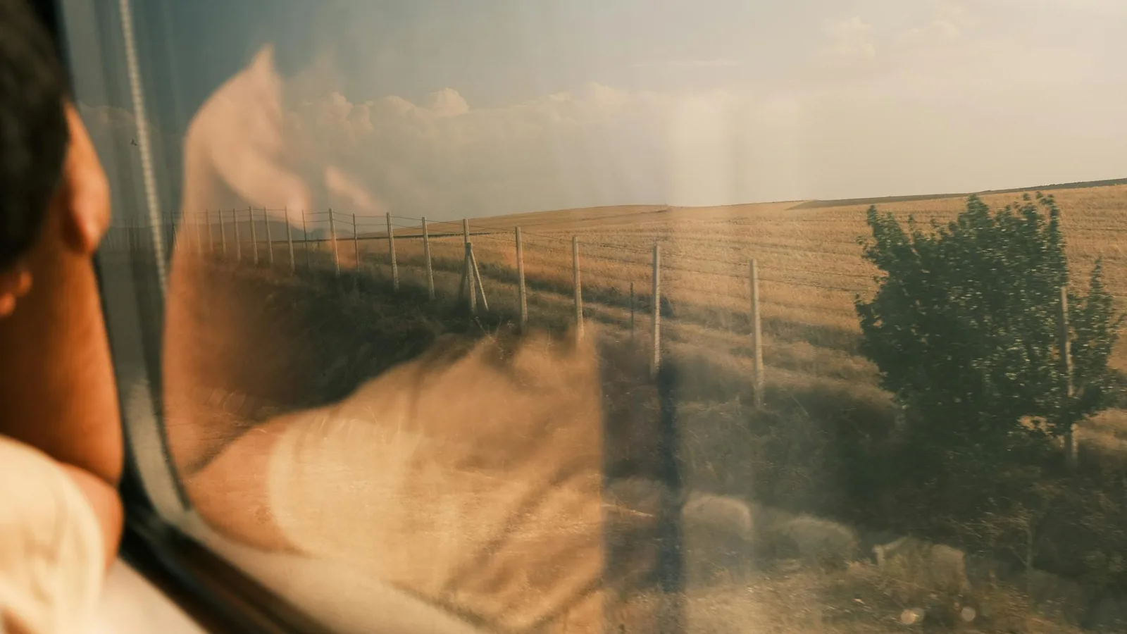 Scenic view of farmland seen through a train window with a person's reflection.