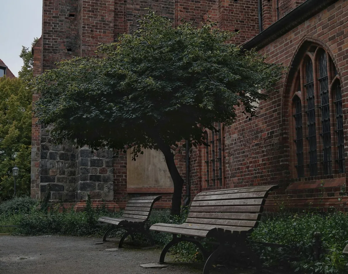 Rustic park benches under a tree next to a vintage brick building in Berlin.