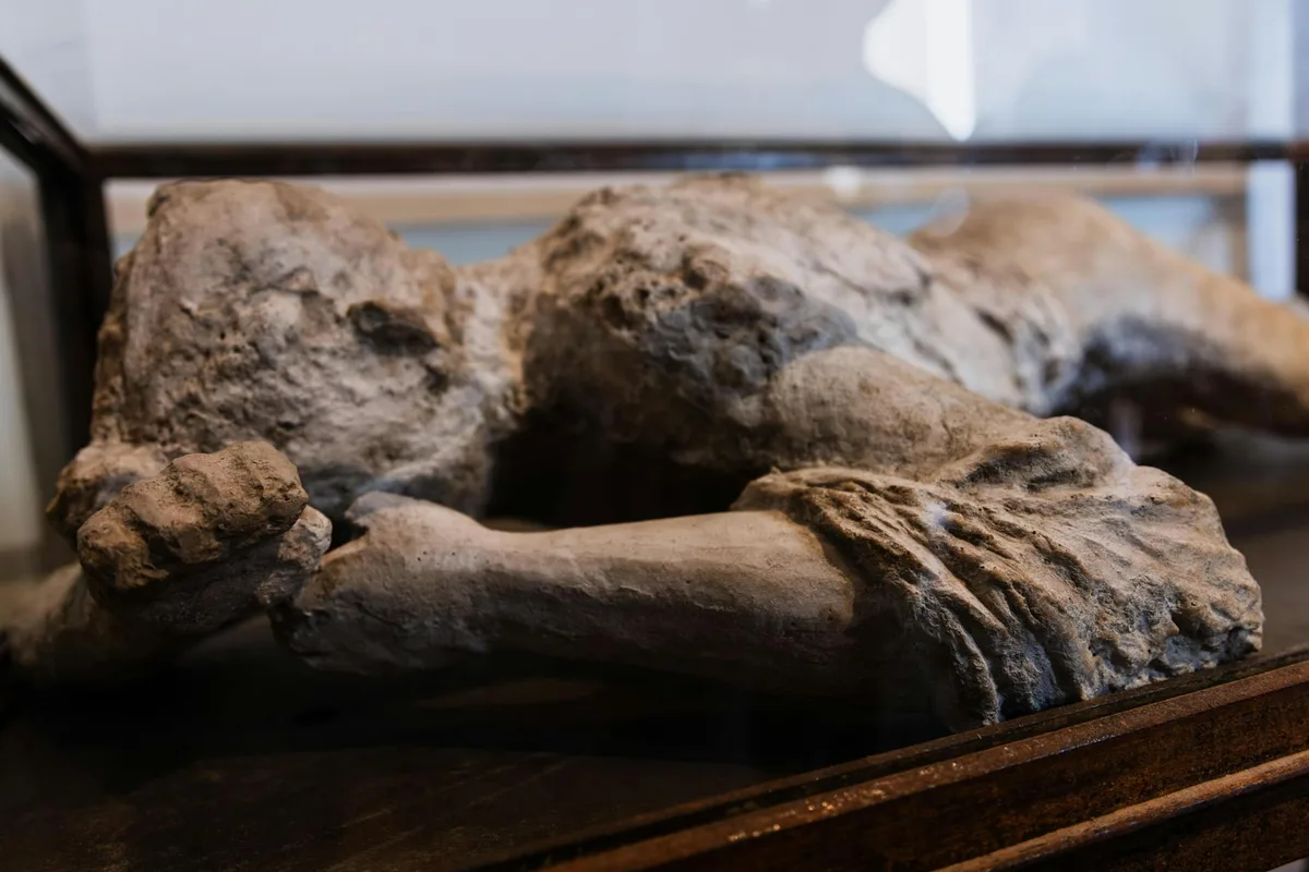 Close-up of a historic sculpture showcasing art and history in a museum setting.