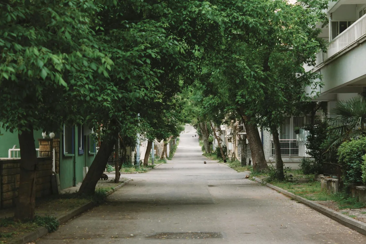 A peaceful tree-lined street in Kınalıada, İstanbul, showcasing urban greenery.